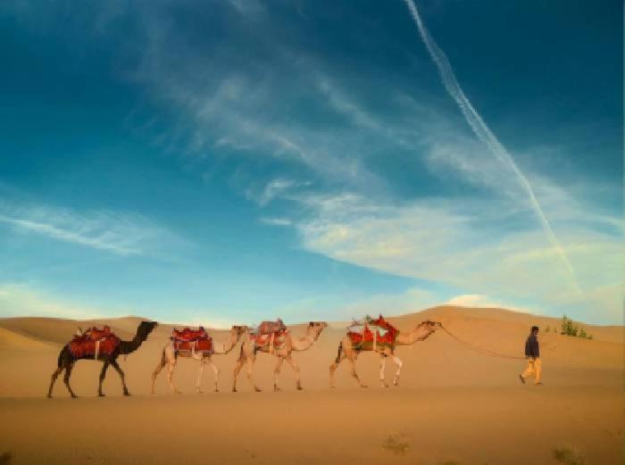 Desert Holiday Jaisalmer Dış mekan fotoğraf